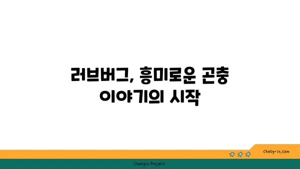 러브버그, 알고 보니 더 매력적인 5가지 사실 | 곤충, 사랑, 번식, 흥미로운 사실, 자연