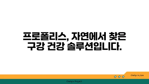 프로폴리스의 치과 건강 효과| 치은 질환과 충치 예방 | 천연 항균, 염증 완화, 구강 건강 솔루션