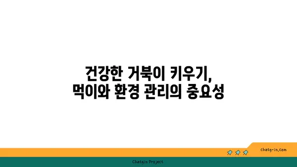 거북이 키우기 완벽 가이드| 종류별 특징부터 먹이, 환경, 건강 관리까지 | 거북, 거북 사육, 파충류, 애완동물