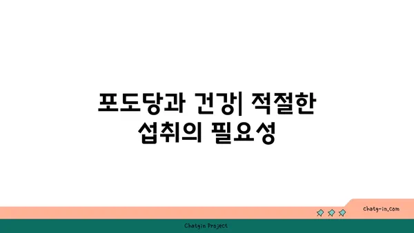 포도당의 역할과 중요성| 우리 몸의 에너지원 | 탄수화물, 혈당, 건강