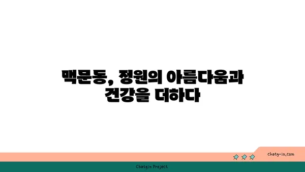 맥문동의 효능과 재배 방법| 정원과 건강을 위한 완벽 가이드 | 약초, 뿌리, 꽃, 재배, 효능, 건강