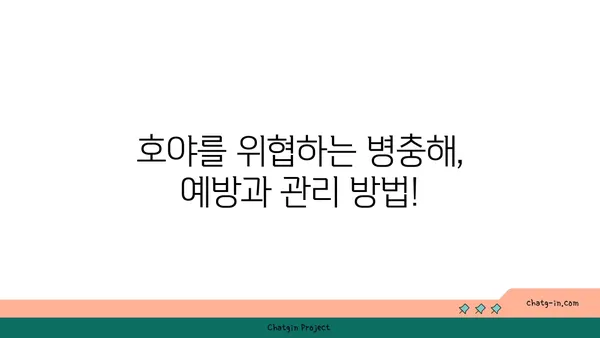 호야 키우기 완벽 가이드 | 호야 종류, 물주기, 햇빛, 번식, 병충해, 관리 팁