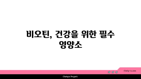 비오틴의 놀라운 효능| 건강한 피부와 머리카락을 위한 필수 영양소 | 비오틴 부족 증상, 비오틴이 풍부한 음식, 비오틴 보충제