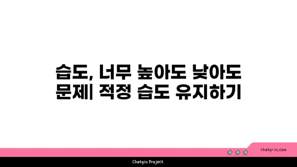 완벽한 습도| 사람이 편안함을 느끼는 최적의 습도 수준 | 실내 습도 조절, 건강, 쾌적함, 습도계