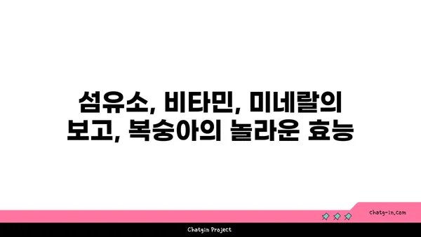 복숭아의 부드러운 매력| 풍부한 섬유소, 비타민, 미네랄의 보고 | 건강, 영양, 과일, 효능