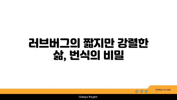 러브버그, 알고 보니 더 매력적인 5가지 사실 | 곤충, 사랑, 번식, 흥미로운 사실, 자연