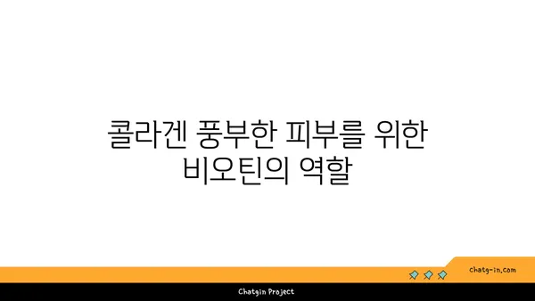 비오틴과 콜라겐 생성| 콜라겐 생성에 도움이 되는 비오틴의 효과 | 비오틴, 콜라겐, 피부 건강, 영양