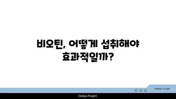 비오틴이 노화 방지에 미치는 영향| 핵심 정보와 효과적인 섭취 방법 | 비타민 B7, 노화, 건강, 섭취 팁, 영양