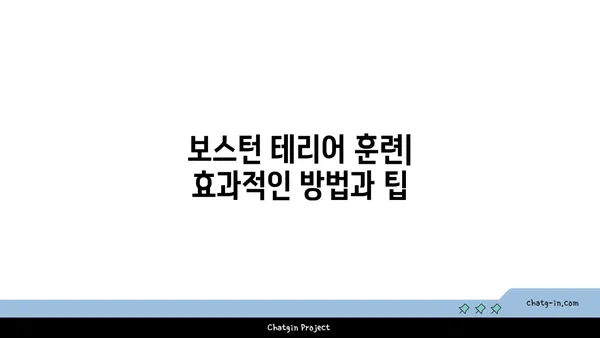 보스턴 테리어 완벽 가이드| 성격, 건강, 훈련, 그리고 더 많은 정보 | 보스턴 테리어, 강아지, 품종, 입양, 관리