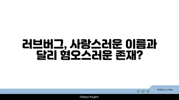 러브버그, 정말 사랑스러운 곤충일까요? | 러브버그, 짝짓기, 곤충, 해충