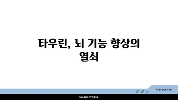 타우린의 힘| 뇌 건강 증진을 위한 5가지 이점 | 타우린, 뇌 기능, 기억력, 집중력, 스트레스 해소