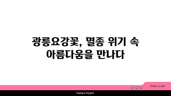 광릉요강꽃의 매력에 빠지다| 멸종위기종, 아름다움과 보존의 가치 | 야생화, 희귀식물, 자생식물, 생태 보존