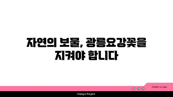 광릉요강꽃의 매력에 빠지다| 멸종위기종, 아름다움과 보존의 가치 | 야생화, 희귀식물, 자생식물, 생태 보존