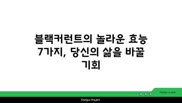 블랙커런트의 놀라운 효능 7가지| 건강과 미용을 위한 특별한 열매 | 블랙커런트 효능, 블랙커런트 레시피, 블랙커런트 영양