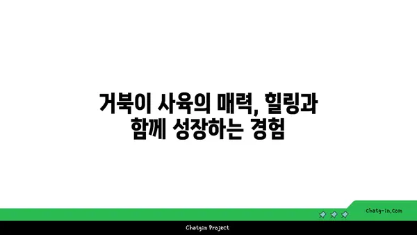 거북이 키우기 완벽 가이드| 종류별 특징부터 먹이, 환경, 건강 관리까지 | 거북, 거북 사육, 파충류, 애완동물