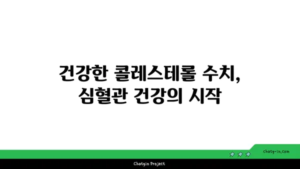 고밀도 지단백질(HDL)| 좋은 콜레스테롤을 높이는 5가지 방법 | 건강, 콜레스테롤, 심혈관 건강