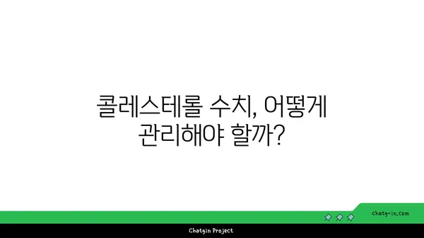 콜레스테롤 이해| 좋은 콜레스테롤, 나쁜 콜레스테롤 | 건강 관리, 심혈관 질환, 콜레스테롤 수치 개선