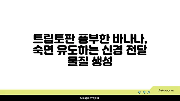 숙면을 위한 달콤한 선택? 바나나 섭취가 숙면에 도움이 되는 3가지 이유 | 바나나, 수면, 멜라토닌, 마그네슘, 트립토판