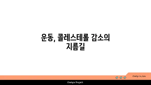 콜레스테롤 수치를 줄이는 3가지 방법| 건강한 식단부터 운동까지 | 건강, 콜레스테롤 관리, 심혈관 건강