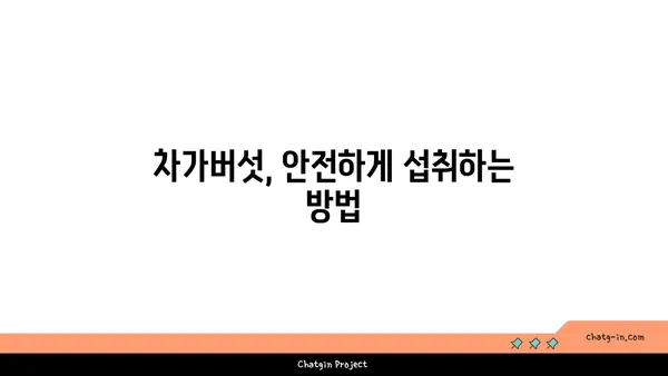 차가버섯 효능과 부작용 완벽 가이드 | 차가버섯, 건강, 면역력, 항암 효과, 주의 사항