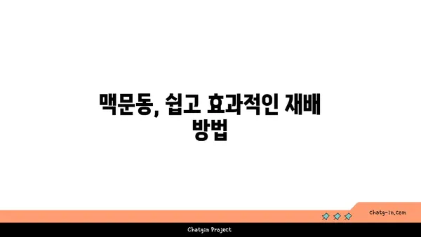 맥문동의 효능과 재배 방법| 정원과 건강을 위한 완벽 가이드 | 약초, 뿌리, 꽃, 재배, 효능, 건강