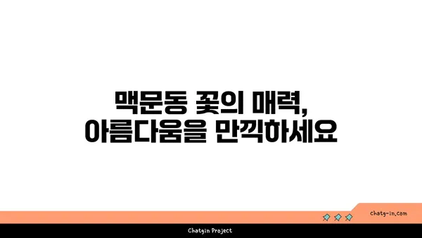 맥문동의 효능과 재배 방법| 정원과 건강을 위한 완벽 가이드 | 약초, 뿌리, 꽃, 재배, 효능, 건강