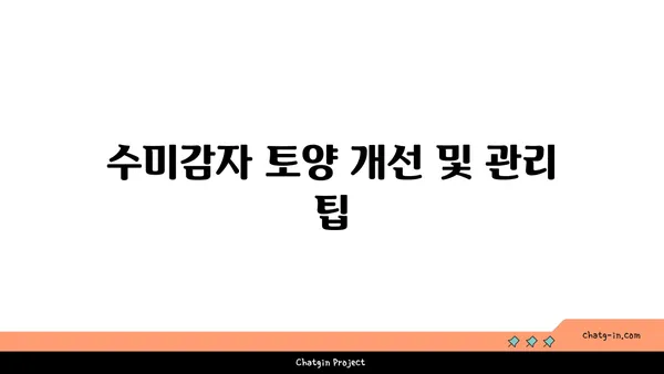 수미감자 최고의 수확을 위한 토양 조건 완벽 가이드 | 수미감자 재배, 토양, 영양 관리, 팁