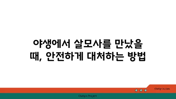 살모사| 우리나라에서 만날 수 있는 독사의 종류와 특징 | 독사, 뱀, 야생동물, 위험, 구별법