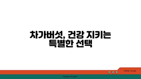 차가버섯 효능과 부작용 완벽 가이드 | 차가버섯, 건강, 면역력, 항암 효과, 주의 사항