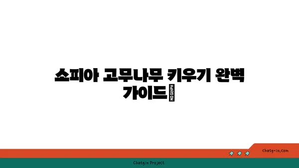 소피아 고무나무 키우기 완벽 가이드 | 실내 식물, 관리법, 번식, 병충해