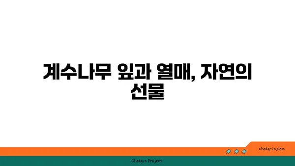 계수나무의 매력에 빠지다| 잎, 꽃, 열매, 나무의 특징과 효능 | 계수나무, 특징, 효능, 재배, 전설