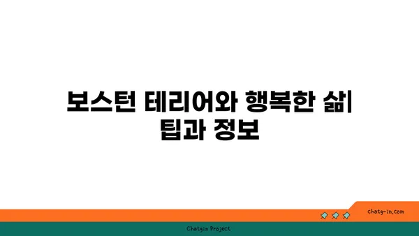 보스턴 테리어 완벽 가이드| 성격, 건강, 훈련, 그리고 더 많은 정보 | 보스턴 테리어, 강아지, 품종, 입양, 관리