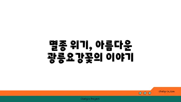 광릉요강꽃의 매력에 빠지다| 멸종위기종, 아름다움과 보존의 가치 | 야생화, 희귀식물, 자생식물, 생태 보존