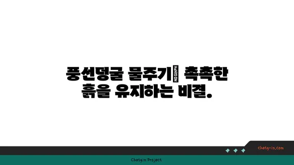 풍선덩굴 키우기 완벽 가이드| 심는 방법부터 관리 팁까지 | 풍선덩굴, 식물 키우기, 정원 가꾸기