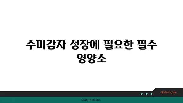 수미감자 최고의 수확을 위한 토양 조건 완벽 가이드 | 수미감자 재배, 토양, 영양 관리, 팁