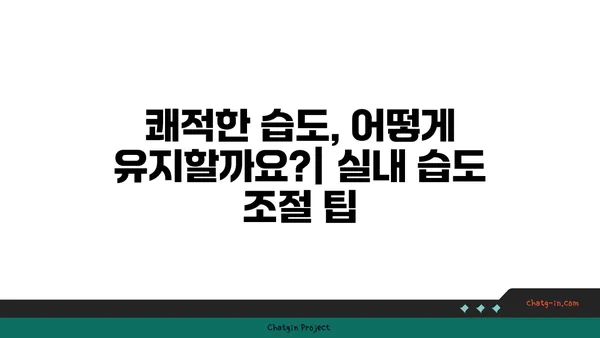 사람이 가장 쾌적하게 느끼는 상대 습도는? | 쾌적함, 실내 습도, 건강, 팁