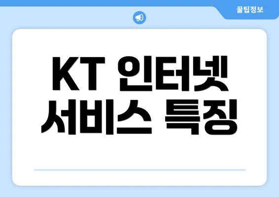 KT 인터넷 서비스 특징