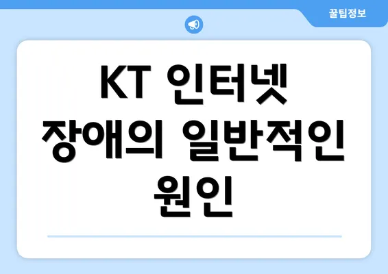 KT 인터넷 장애의 일반적인 원인