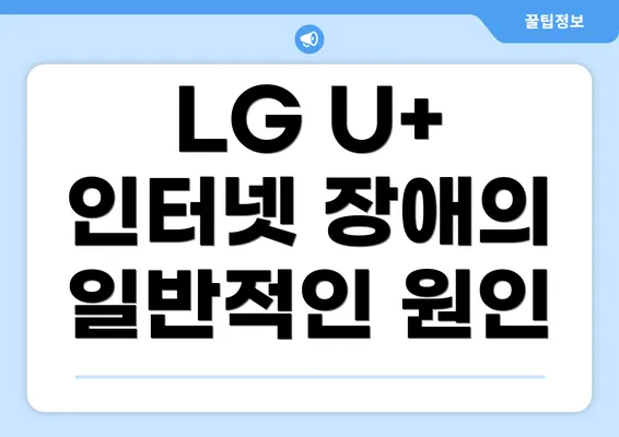 LG U+ 인터넷 장애의 일반적인 원인