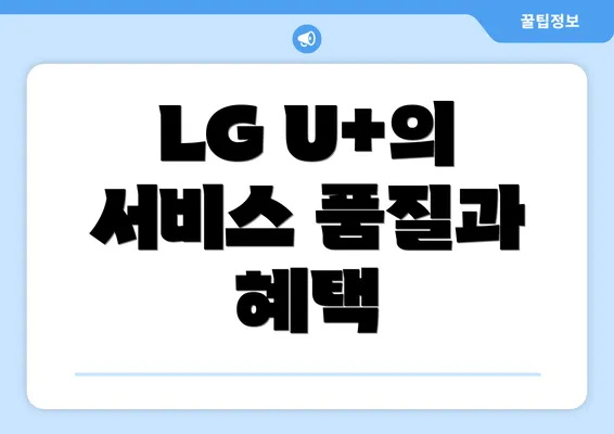 LG U+의 서비스 품질과 혜택