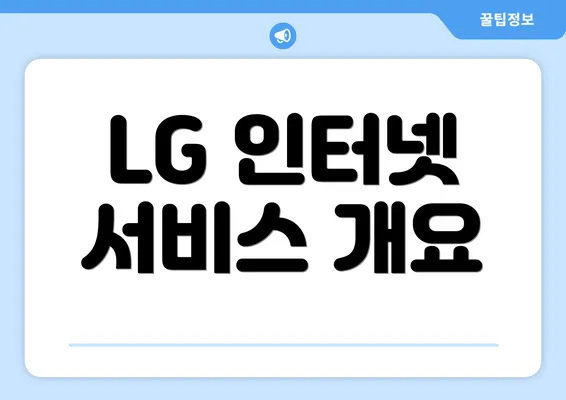 LG 인터넷 서비스 개요