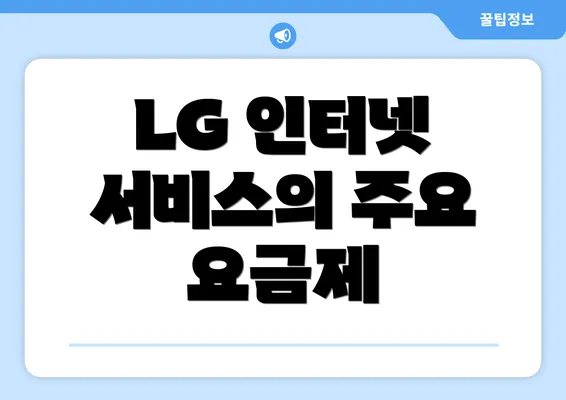 LG 인터넷 서비스의 주요 요금제