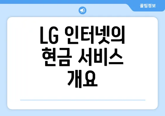 LG 인터넷의 현금 서비스 개요