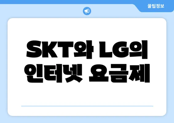 SKT와 LG의 인터넷 요금제