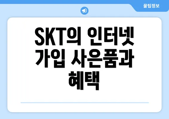 SKT의 인터넷 가입 사은품과 혜택