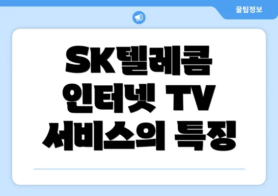 SK텔레콤 인터넷 TV 서비스의 특징