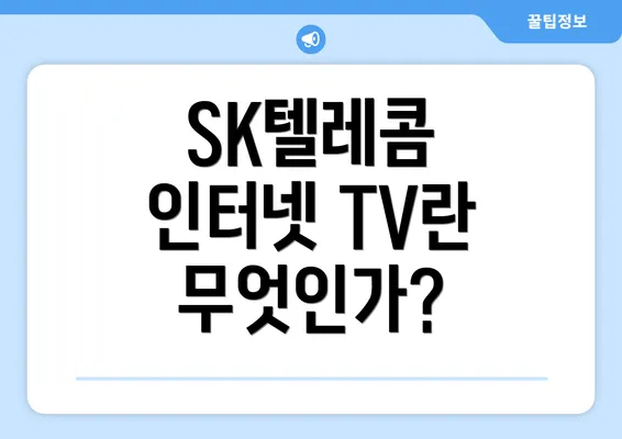 SK텔레콤 인터넷 TV란 무엇인가?