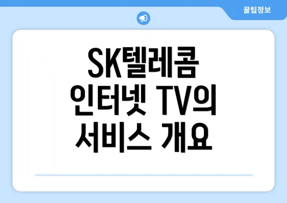 SK텔레콤 인터넷 TV의 서비스 개요