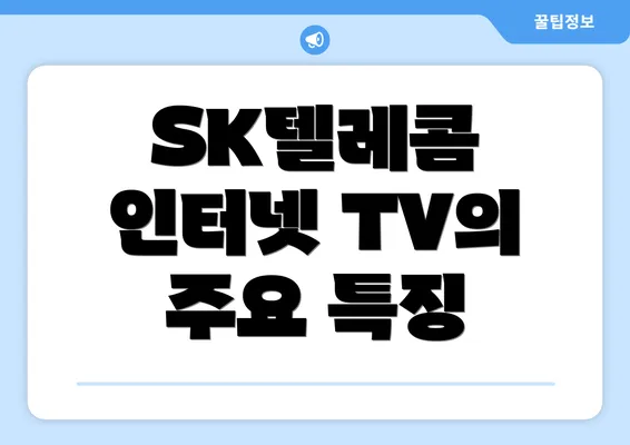 SK텔레콤 인터넷 TV의 주요 특징