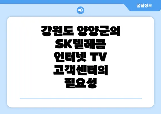 강원도 양양군의 SK텔레콤 인터넷 TV 고객센터의 필요성